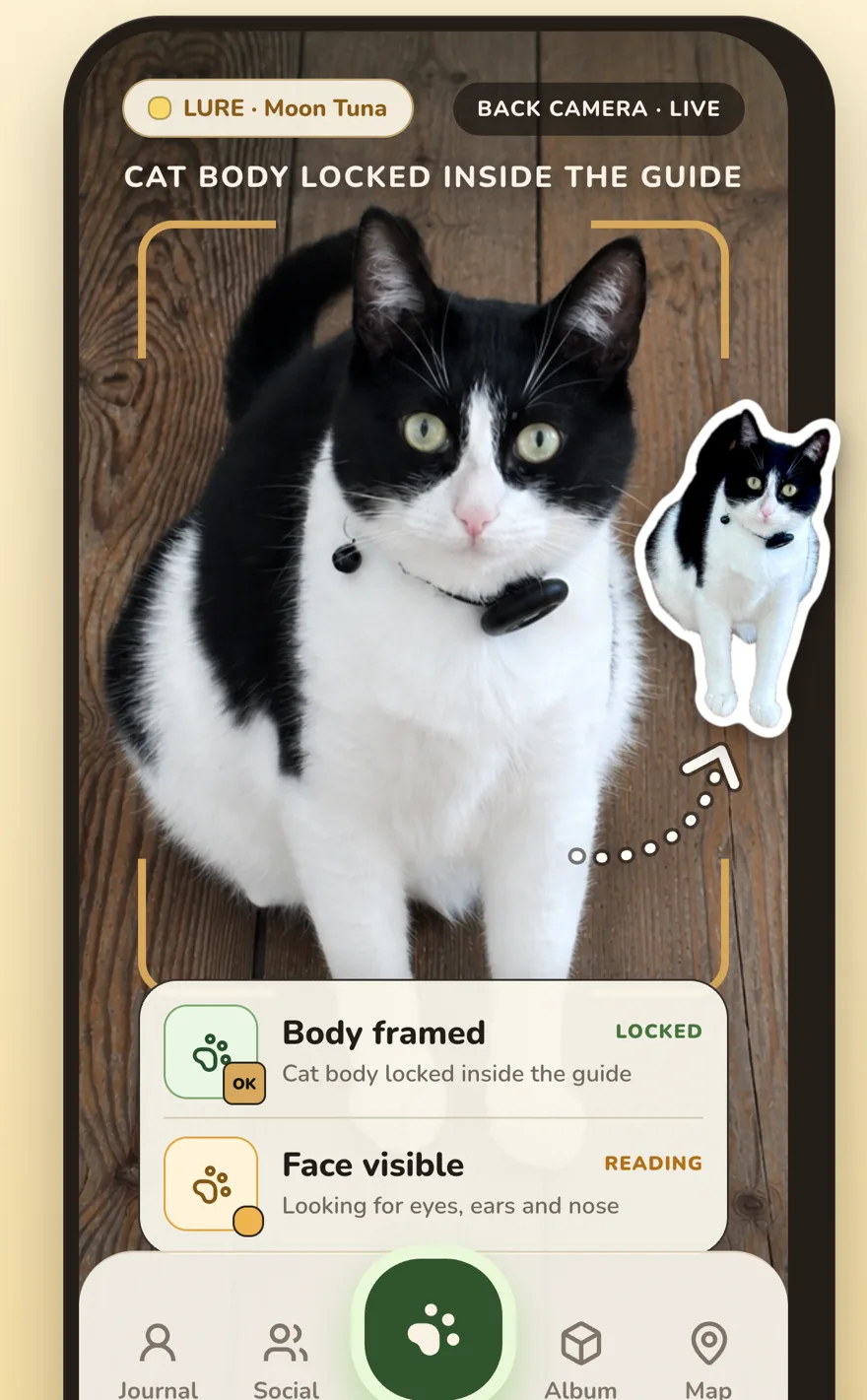 PawCatch camera locking onto a tuxedo cat, with the sticker being lifted from the photo